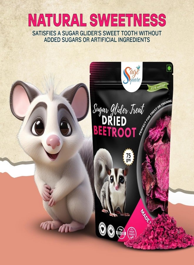 سايج سكوير رقائق الشمندر المجفف من سيج سكوير، مثالية لحيوانات السكر الطائرة - وجبات خفيفة طبيعية وصحية ولذيذة | غنية بالألياف والفيتامينات | خالية من المواد الحافظة الاصطناعية | قليلة الدسم وسهلة الهضم | مناسبة للتدريب والمضغ | 75 غرام - Image 4